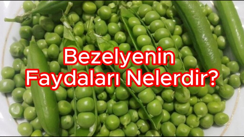 Bezelyenin Faydalar Nelerdir Simlifar